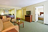 Hotel Holiday Inn Express Tampa/brandon