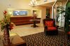 Hotel Holiday Inn Express Tampa/brandon