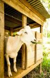 Agroturismo Pousada Villa Pinhal