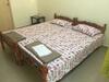 Bed & Breakfast Palm Grove Service Villa