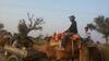 Rao Bika Ji Camel Safari