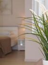 Apartamentos Villa Petra