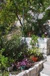 Apartment Hvar 3229a