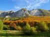 Bed & Breakfast B�lk? Panzi�