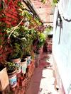Hostal Cusco Central Hostel