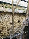 Hostal Aldea Tzunun