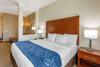 Hotel Comfort Suites Near Denver Downtown