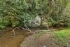 Laurel Creek