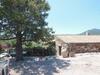 Villa B&B Pettirosso Garden