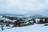 Hotel Forrest