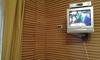 Apartamento ???????????-??????