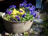Agroturismo S�rve Holiday Home