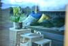 Hostal Roose Country House And Tiny Guesthouse