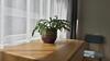 Best Apartments - Kentmanni 9