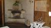 Tammek�nnu Holiday House