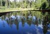 Agroturismo Soesauna Farmstay