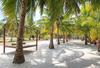 Hotel Equator Village Resort
