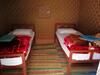 Bedouins Desert Camp