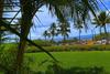 Apartamento Maui Kamaole #g-107 Condo