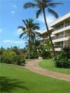 Apartamento Maui Banyan Q-104 Condo