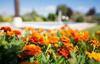 Bed & Breakfast El Capricho De Los Montes