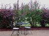 Hotel Best Western Plus Madisonville Inn