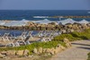 Leonardo Plaza Cypria Maris Beach Hotel & Spa
