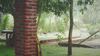 Bed & Breakfast Green Cottage