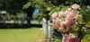 Agroturismo Honeybee - Country Accommodation