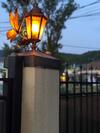 Hostal Baunti Guest House