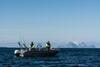 Lyngen Havfiske Og Tursenter
