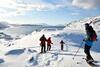 Lyngen Havfiske Og Tursenter