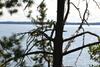 Holiday Home Tuomarniemi