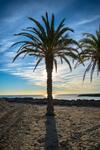 Apartamento Appartement - Face � La Mer - La Napoule