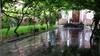 Hostal Olimpo Guest House