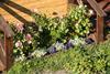 Hostal Hotel Dauria