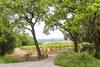 Alexander Valley Estate In The Vineyards Home