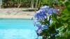 Bed & Breakfast Chambre D'h�tes La Vigneronne
