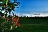 Apartamento Casa D'era Country Holiday House