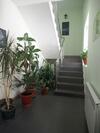 Hostal Yuzhny Platan