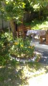 Hostal Guest House Tomichka