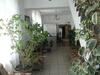 Hostal Alina