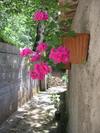 Bed & Breakfast Casale Villa Irina