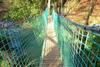 Il Girasole