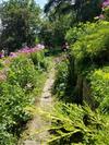 Contented Cottage Bed And Breakfast