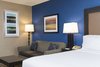 Hotel Holiday Inn Chicago - Elk Grove
