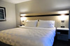 Hotel Holiday Inn Bloomington - Normal