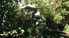 Hotel Housemartin Guest Lodge
