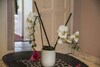 La Loggia B&B