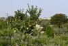 B&B Villa Lavanda